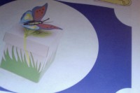 caja de mariposa